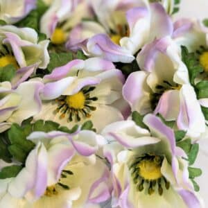 Anemone fej- cirmos lila