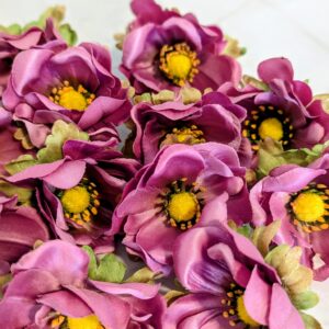 Anemone fej- sötét mályva