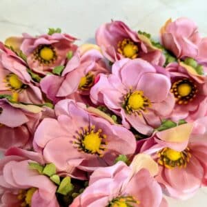 Anemone fej- világos mályva