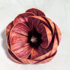 Magnólia virágfej- antik barack