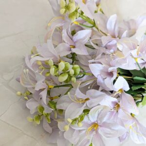 Extradús Liliomcsokor- Halvány orgonalila