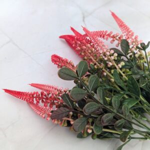 Csillagfürt csokor- piros