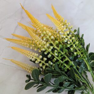 Csillagfürt csokor-sárga