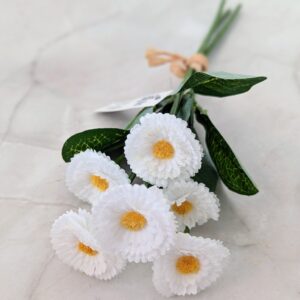 Százszorszép fehér