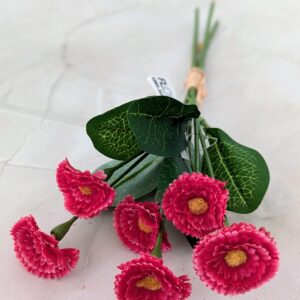 Százszorszép sötét pink