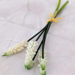 Fürtös gyöngyike- fehér