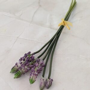 Fürtös gyöngyike-lila