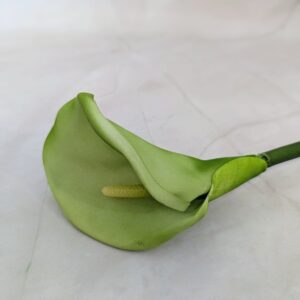 Zöld polifoam kàla