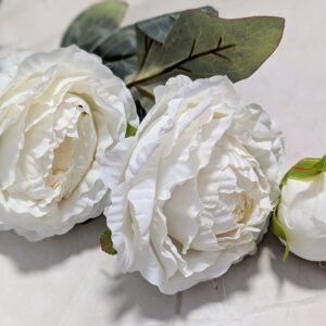 Szálas bazsarózsa 2+1 - Fehér