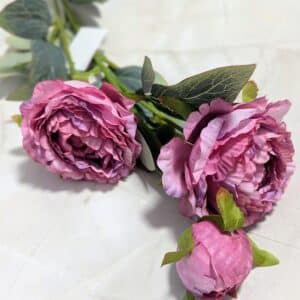 Szálas bazsarózsa 2+1 - lila