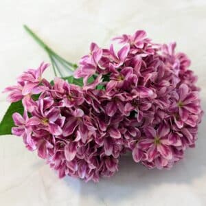 Szeldelt szirmú hortenzia csokor - Cirmos pink