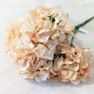 Nagy hortenzia csokor- 5 fejes barack