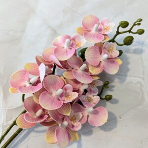 Szálas phalenopsis midi - Cirmos rózsaszín