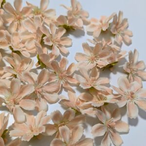 60db-os fejviràg csomag-barack