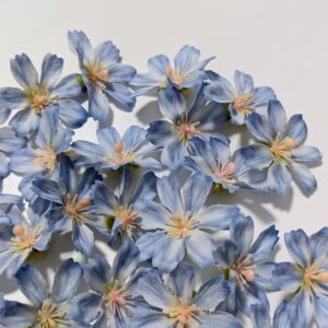 60db-os fejviràg csomag- kék