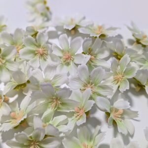 60db-os fejviràg csomag- fehér