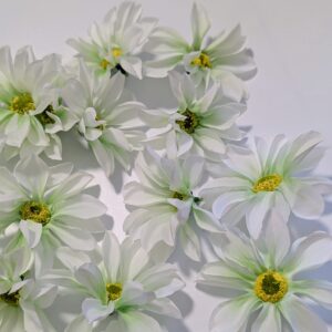 Pillangó fejvirág-halvány zöld fehér