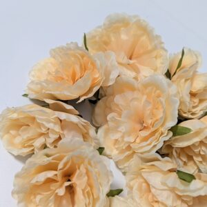 Dekor fejvirág- barack