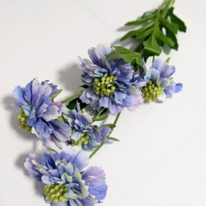 Szálas ördögszem - Kékes lila