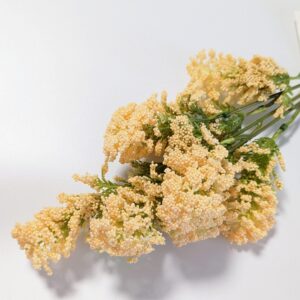 Díszítő szálas- barack