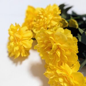 Rézvirág - Sárga